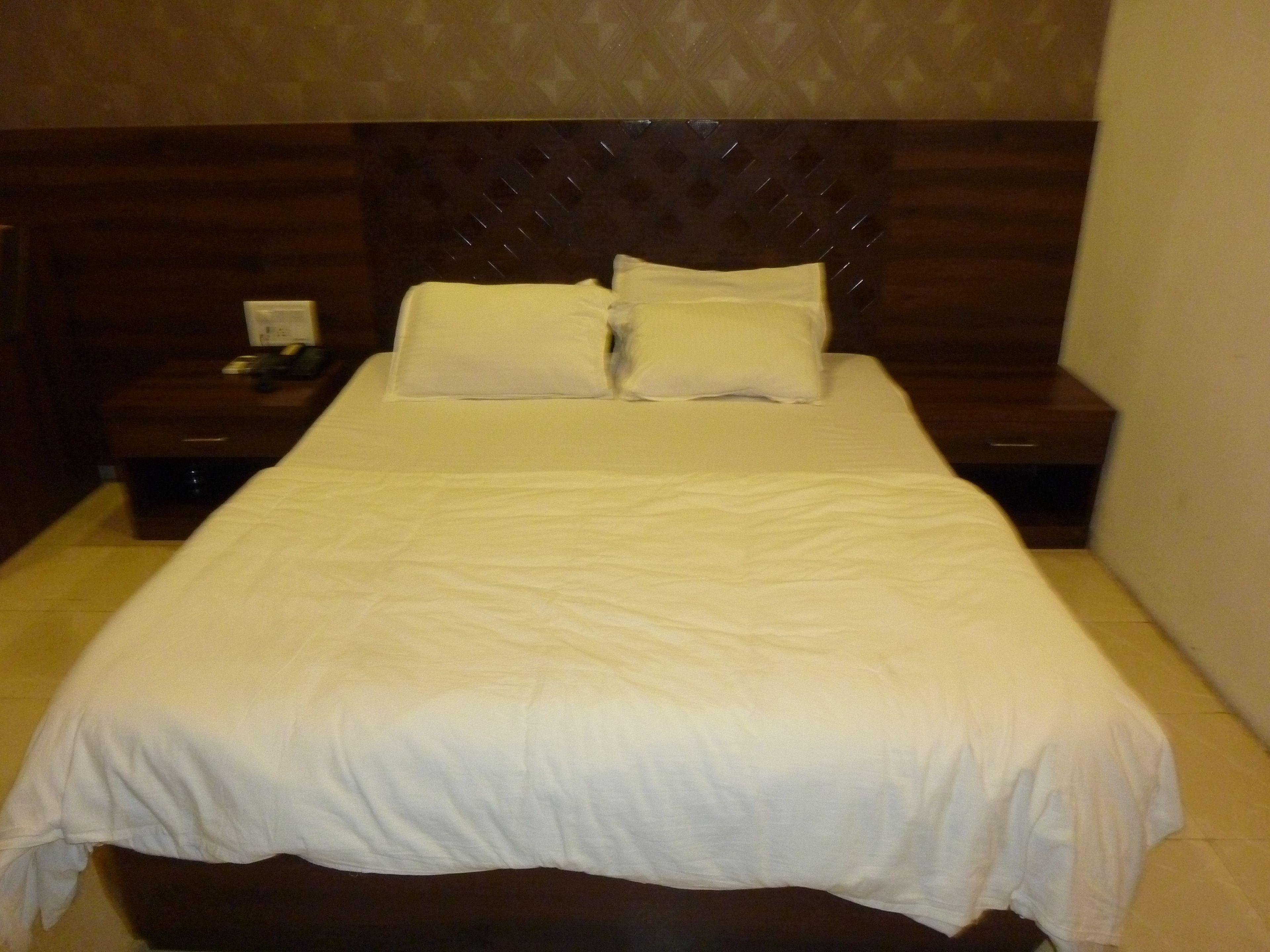 Hotel Regal Palace — Foto’s 2